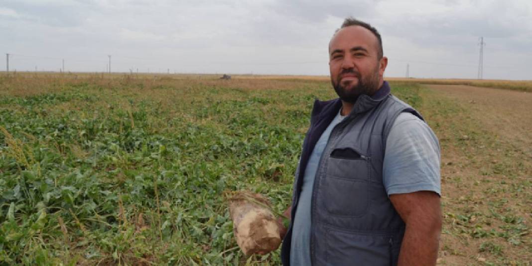 Yılda 2 milyon ton üretim yapan Aksaray’da hasat başladı! Fiyat belirlendi, üreticinin yüzü güldü: Satışlar memnun ediyor 1